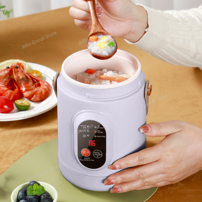 Hot Pot Portable Dual - Mini-cuiseur électrique portable multifonctionnel, marmite de