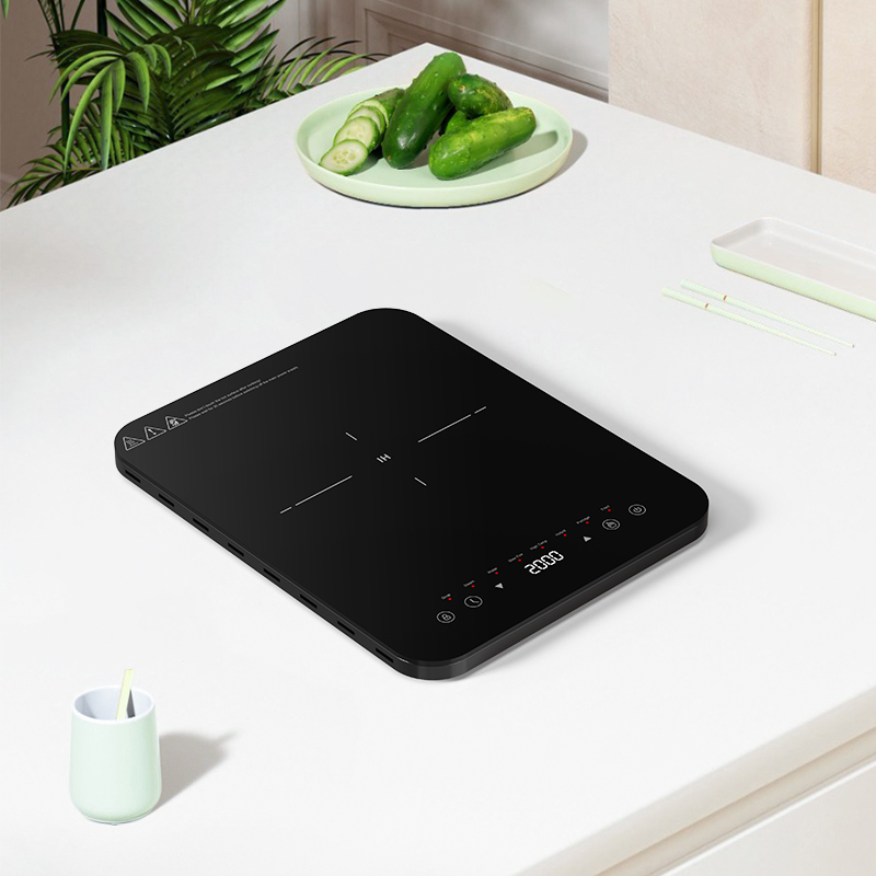 Zones de cuisson à induction à - Hot Pot Portable Dual avis et prix